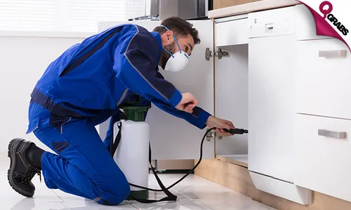 Pest Control Services!